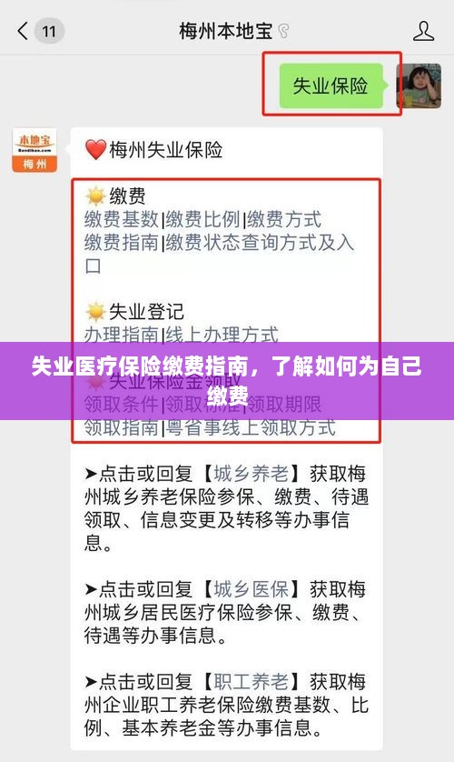 失业医疗保险缴费详解，如何为自己缴费的指南-图1