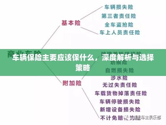 深度解析,车辆保险应该保什么及选择策略-图1 深度解析,车辆保险应该保什么及选择策略-图1