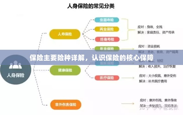 保险主要险种详解,了解核心保障,认识保险全貌-图1 保险主要险种详解,了解核心保障,认识保险全貌-图1