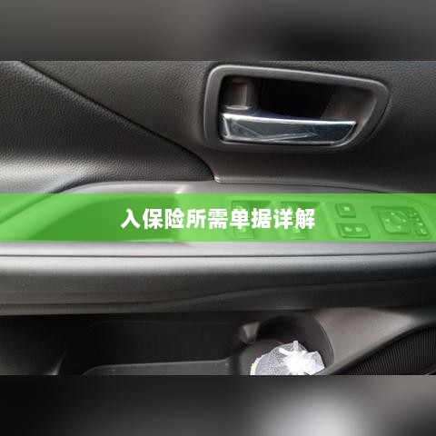 入保险必备单据解析-图1