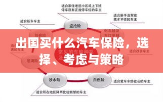 出国购车保险指南,选择、考虑与策略全解析-图1 出国购车保险指南,选择、考虑与策略全解析-图1