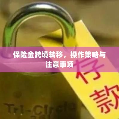 保险金跨境转移，操作策略及注意事项指南-图1