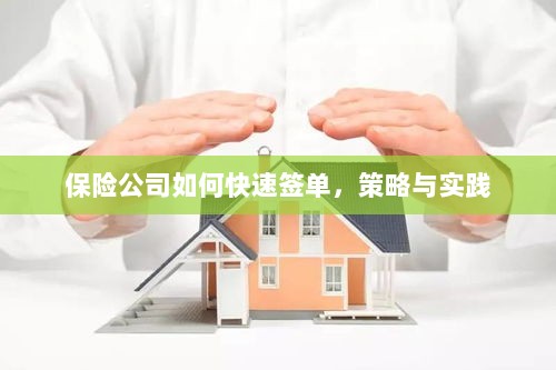 保险公司快速签单策略与实践指南-图1