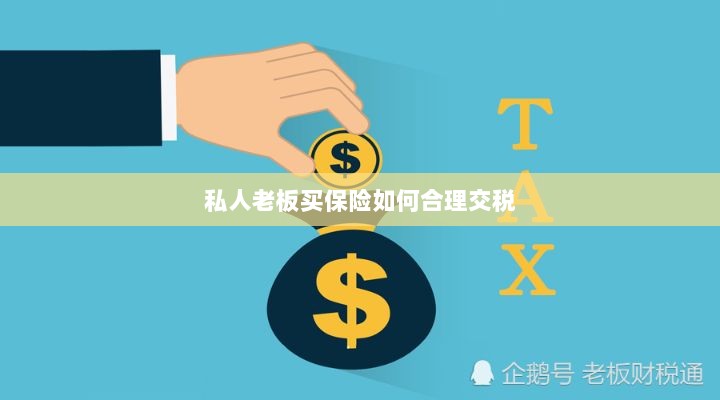 私人老板如何合理购买保险并交税指南-图1