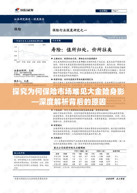 大金险在保险市场的缺席，深度探究其原因-图1