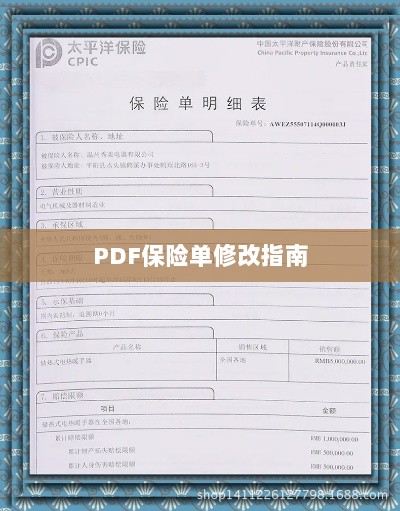 PDF保险单修改指南详解-图1