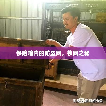 保险箱内的锁网之秘，防盗网的安全解密-图1