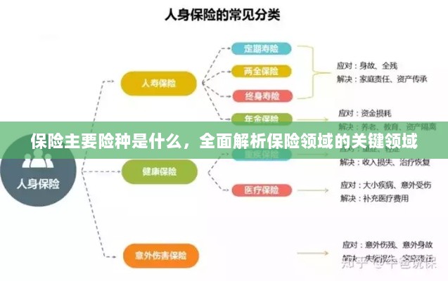 全面解析保险领域关键领域，主要险种介绍与概述-图1