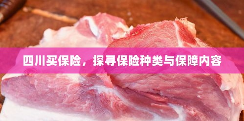 四川保险探秘,种类与保障内容全解析-图1 四川保险探秘,种类与保障内容全解析-图1