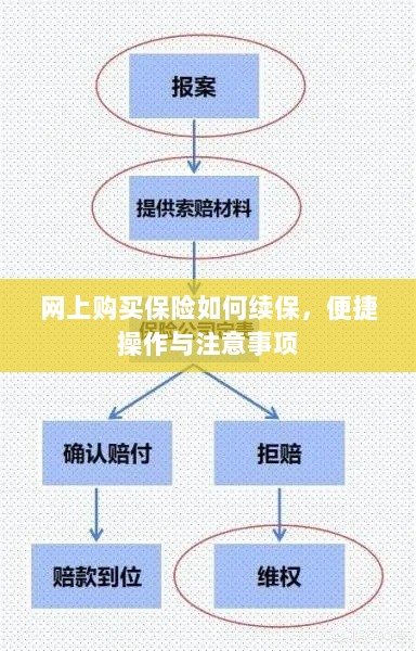 网上保险续保攻略,便捷操作及注意事项-图1 网上保险续保攻略,便捷操作及注意事项-图1