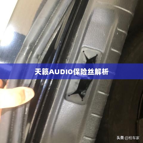 天籁AUDIO保险丝详解-图1 天籁AUDIO保险丝详解-图1