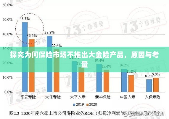 探究保险市场未推出大金险产品的原因与考量-图1