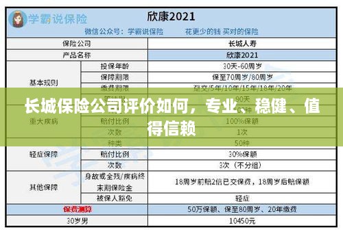 长城保险公司评价，专业、稳健、值得信赖的保险选择-图1