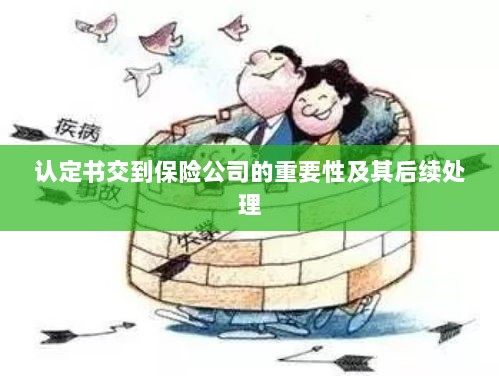 认定书交到保险公司的重要性及后续处理流程详解-图1 认定书交到保险公司的重要性及后续处理流程详解-图1