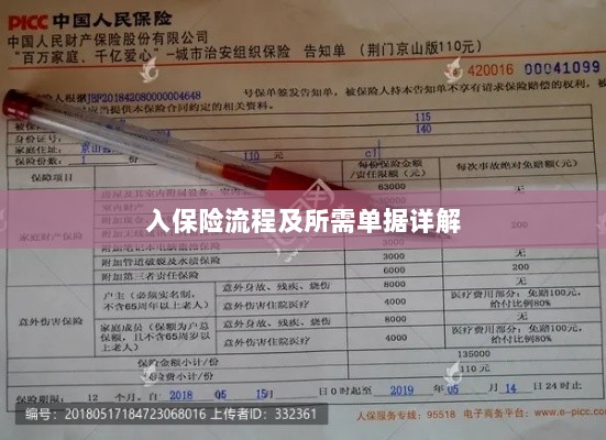 保险投保流程与所需单据全面解析-图1