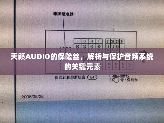 天籁AUDIO保险丝，解析与音频系统保护的关键要素-图1