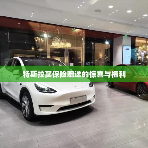 特斯拉保险购买赠品与惊喜福利概述-图1