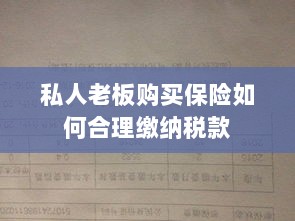 私人老板购买保险如何合理缴税，策略与指南-图1