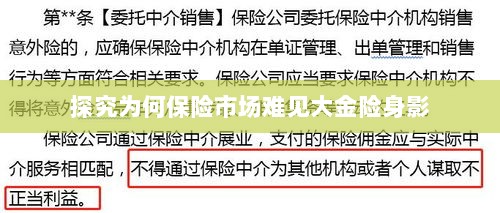 大金险在保险市场难觅踪迹的探究-图1