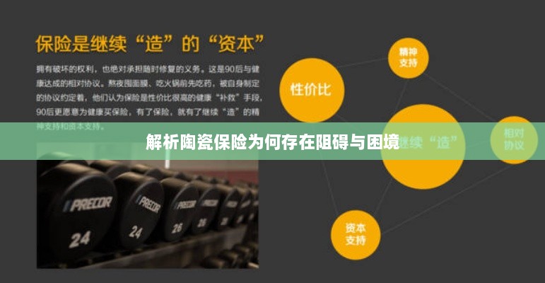 陶瓷保险阻碍与困境解析-图1