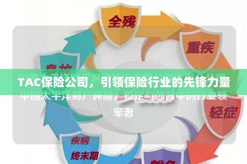 TAC保险公司，引领保险行业的先锋典范-图1