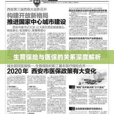 生育保险与医保关系的深度探讨-图1