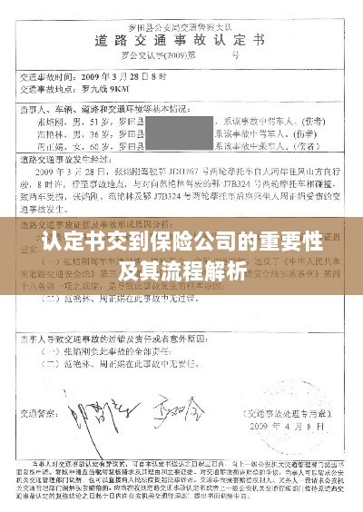 认定书交到保险公司的流程解析与重要性探讨-图1 认定书交到保险公司的流程解析与重要性探讨-图1