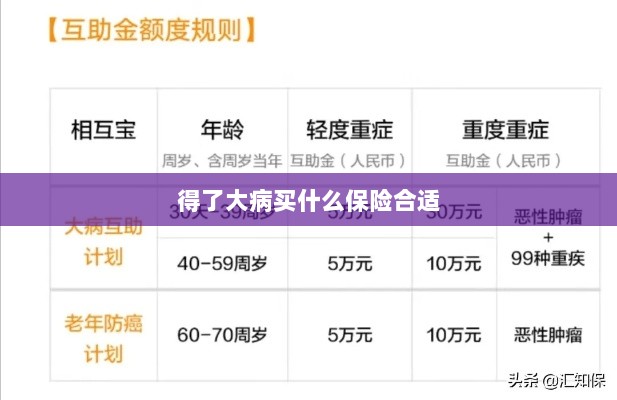 大病保险选择指南,如何选购合适的保险?-图1 大病保险选择指南,如何选购合适的保险?-图1