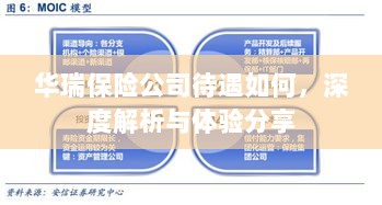 华瑞保险公司待遇深度解析与体验分享-图1