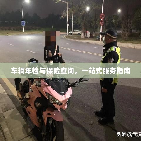 车辆年检与保险查询，一站式服务详解-图1