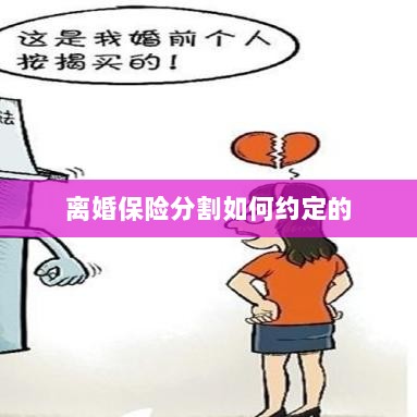 离婚保险分割约定详解-图1 离婚保险分割约定详解-图1