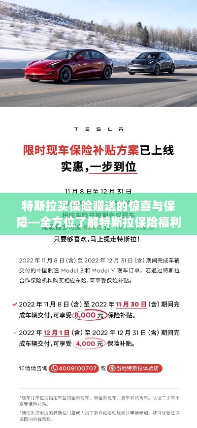 特斯拉保险福利揭秘,赠送的惊喜与全方位保障-图1 特斯拉保险福利揭秘,赠送的惊喜与全方位保障-图1