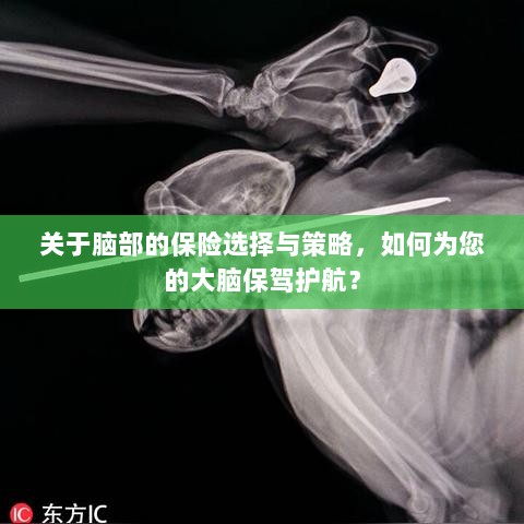 如何选择合适的脑部保险，为您的大脑保驾护航？-图1