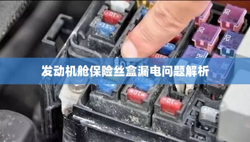 发动机舱保险丝盒漏电问题深度解析-图1 发动机舱保险丝盒漏电问题深度解析-图1