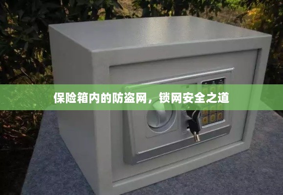 保险箱内的防盗网，锁网安全的秘密之道-图1