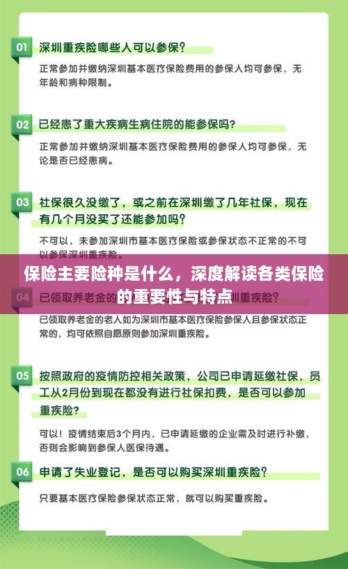 深度解析,保险主要险种及其重要性与特点全解析-图1 深度解析,保险主要险种及其重要性与特点全解析-图1
