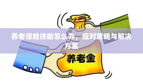 养老保险中断应对指南,解决方案与策略-图1 养老保险中断应对指南,解决方案与策略-图1