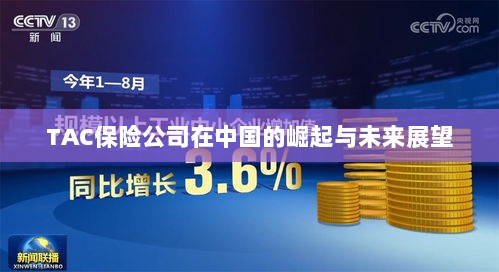 TAC保险公司在中国的崛起及未来展望-图1