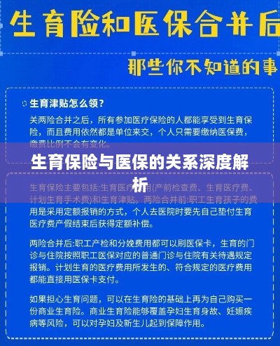 生育保险与医保关系的深度探讨-图1
