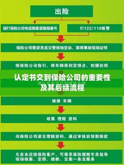 认定书对保险公司的重要性及后续流程详解-图1 认定书对保险公司的重要性及后续流程详解-图1