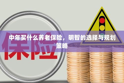中年明智之选,养老保险的规划与策略-图1 中年明智之选,养老保险的规划与策略-图1