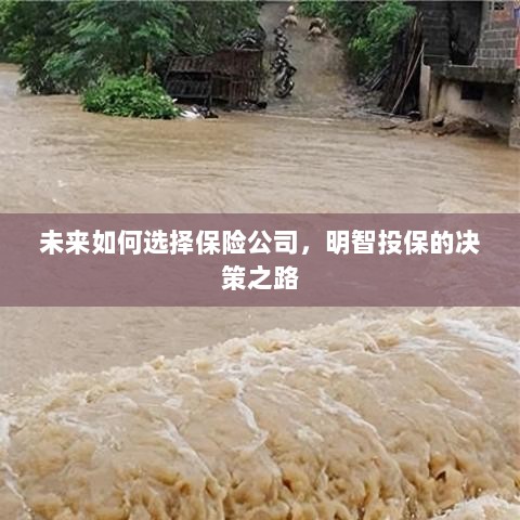 未来如何选择保险公司,明智投保指南与决策之路-图1 未来如何选择保险公司,明智投保指南与决策之路-图1