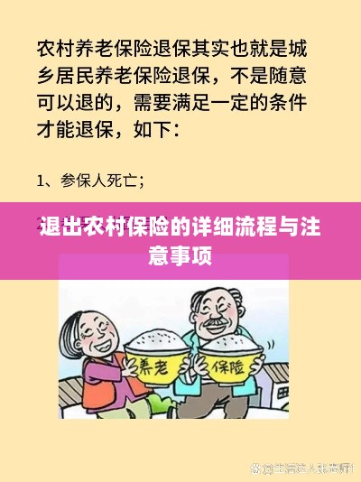 退出农村保险的详细流程与注意事项全解析-图1