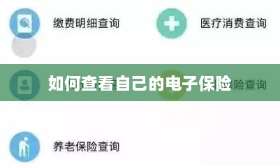 如何查看个人电子保险保单详情-图1