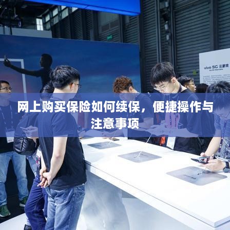 网上保险续保攻略，便捷操作及注意事项-图1