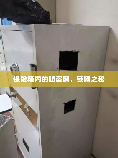 保险箱内的锁网之秘，防盗网的安全解密-图1