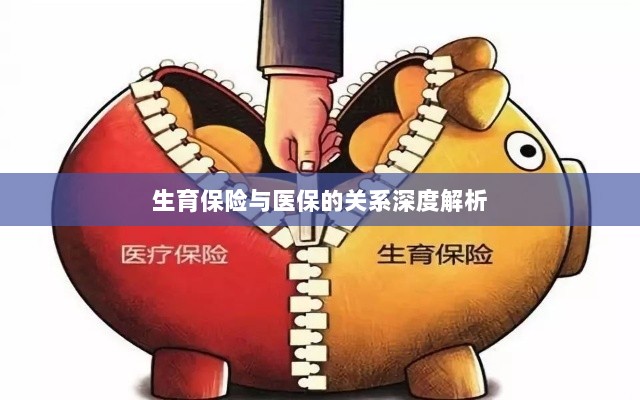生育保险与医保关系的深度探讨-图1