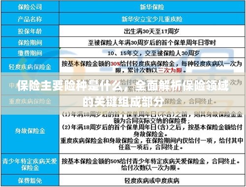 全面解析保险领域关键组成部分,主要险种介绍与解析-图1 全面解析保险领域关键组成部分,主要险种介绍与解析-图1
