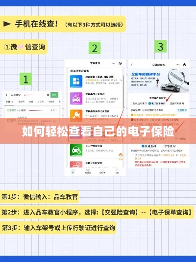 轻松查看个人电子保险指南-图1 轻松查看个人电子保险指南-图1