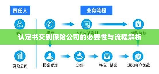 认定书交到保险公司的必要性与流程深度解析-图1 认定书交到保险公司的必要性与流程深度解析-图1